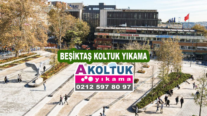 Beşiktaş Koltuk Yıkama
