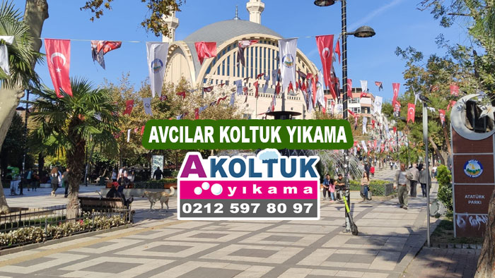 Avcılar Koltuk Yıkama